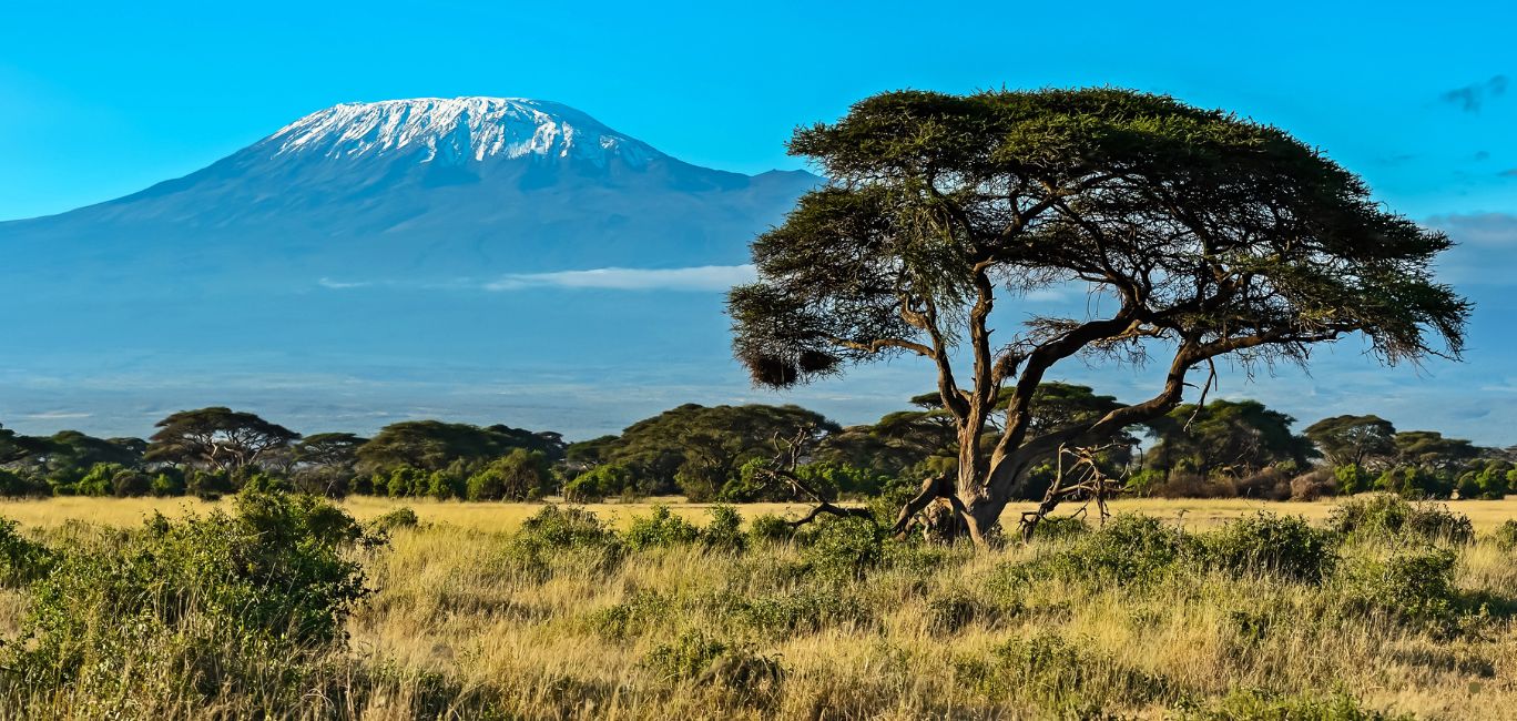 Maasai Mara