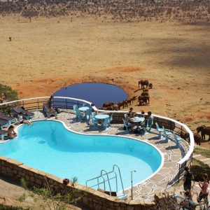 voi-safari-lodge-1